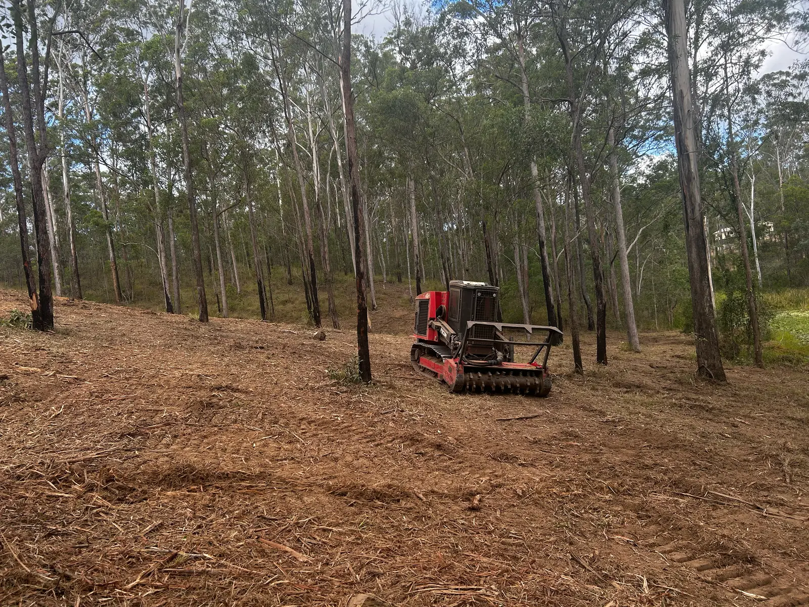 Forestry mulcher clearing regrowth through timbered country near Dayboro in Queensland